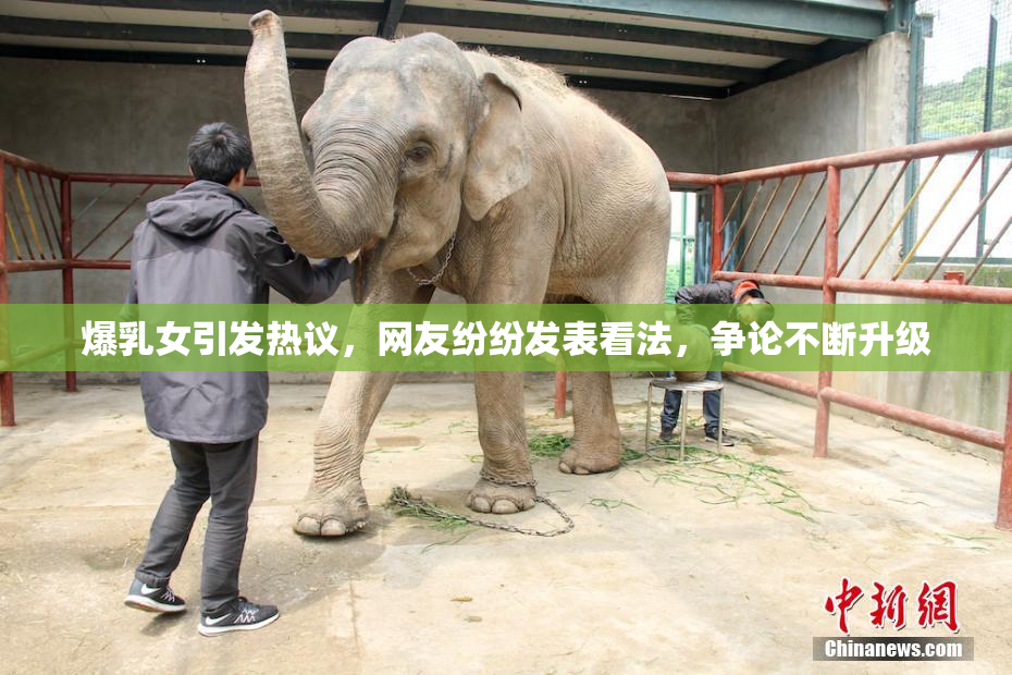 爆乳女引发热议，网友纷纷发表看法，争论不断升级