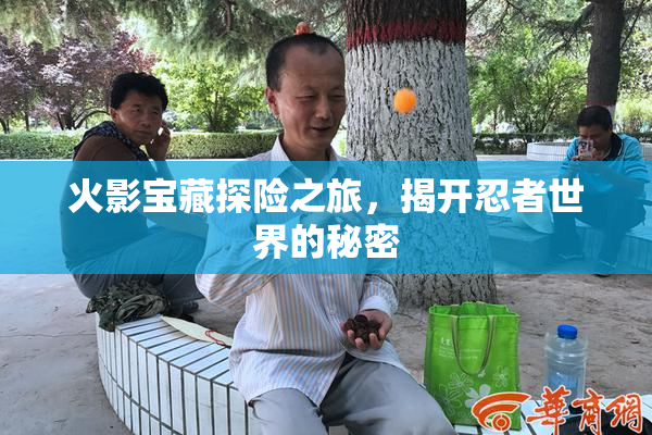 火影宝藏探险之旅，揭开忍者世界的秘密