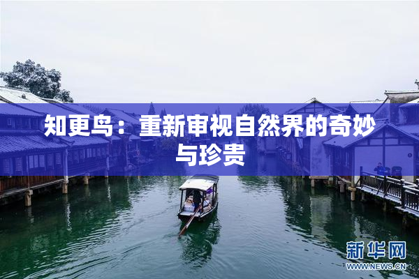 知更鸟：重新审视自然界的奇妙与珍贵