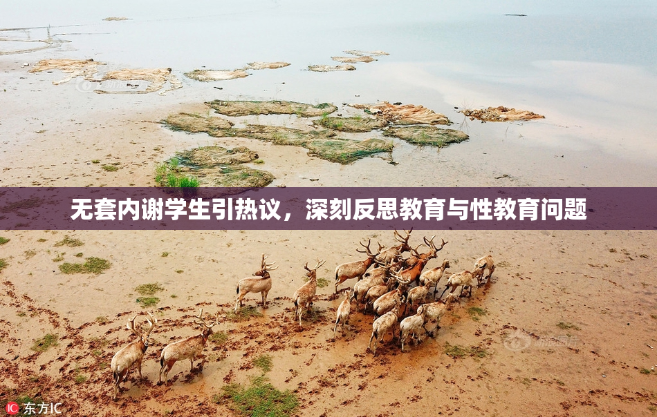 无套内谢学生引热议，深刻反思教育与性教育问题