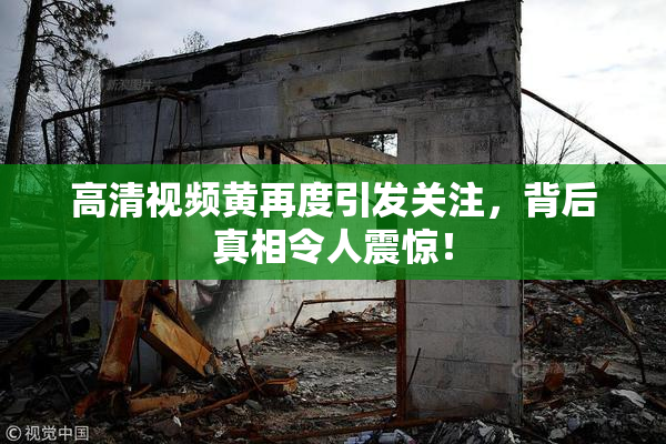 高清视频黄再度引发关注，背后真相令人震惊！