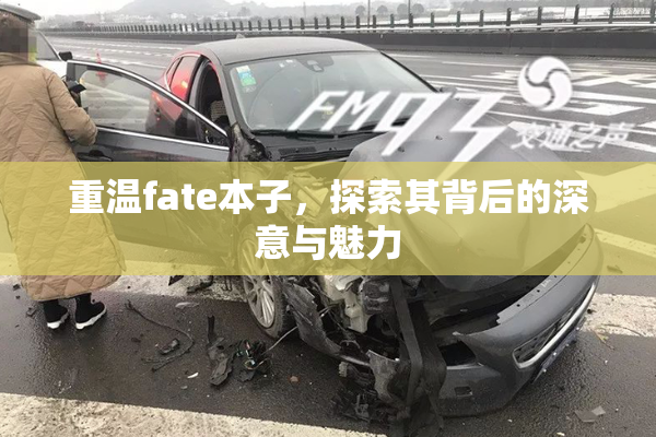 重温fate本子，探索其背后的深意与魅力