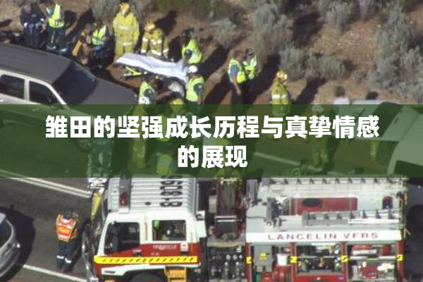 雏田的坚强成长历程与真挚情感的展现