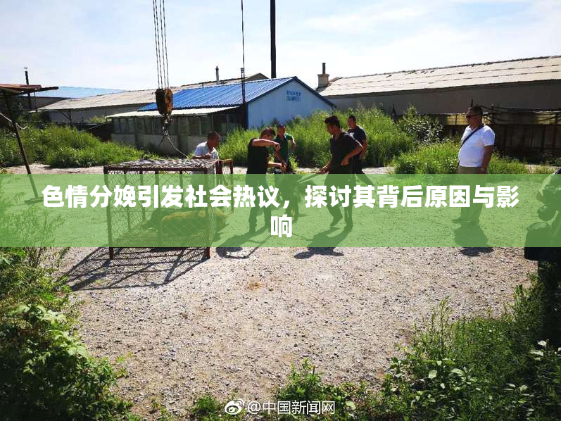 色情分娩引发社会热议，探讨其背后原因与影响