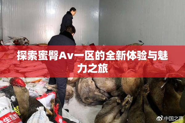 探索蜜臀Av一区的全新体验与魅力之旅