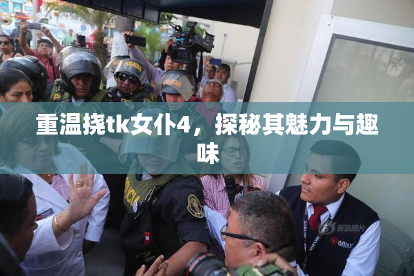 重温挠tk女仆4，探秘其魅力与趣味