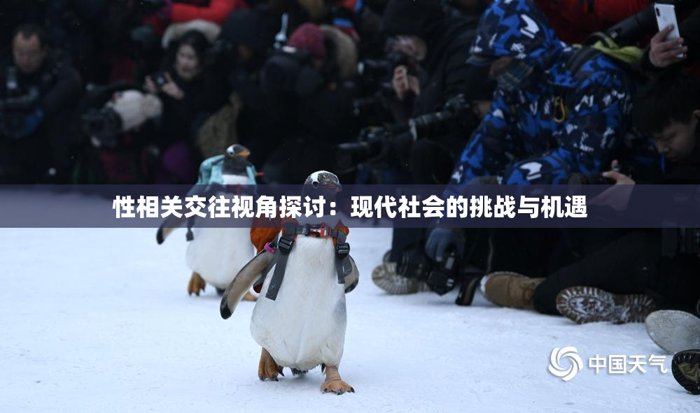 性相关交往视角探讨：现代社会的挑战与机遇