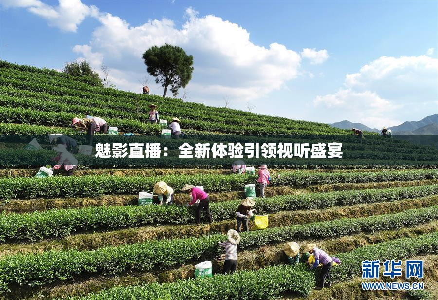 魅影直播：全新体验引领视听盛宴