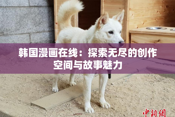 韩国漫画在线：探索无尽的创作空间与故事魅力