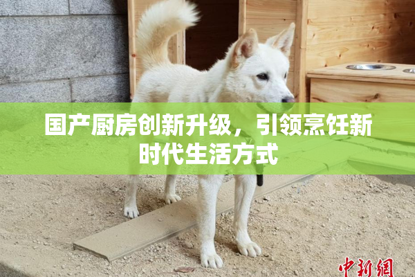 国产厨房创新升级，引领烹饪新时代生活方式