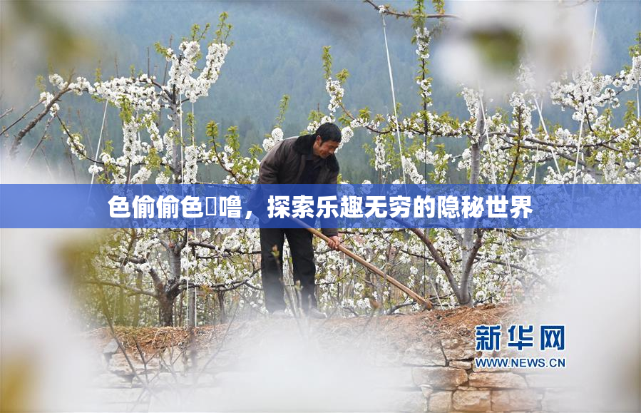 色偷偷色嚕噜，探索乐趣无穷的隐秘世界