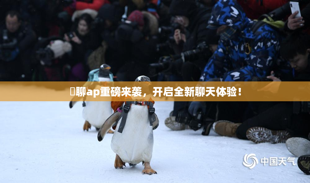 躶聊ap重磅来袭，开启全新聊天体验！