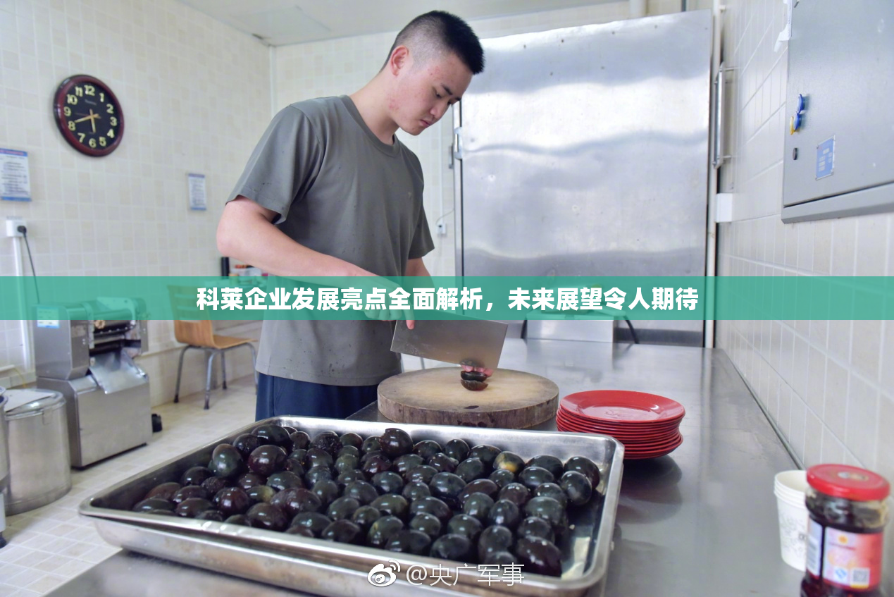 科莱企业发展亮点全面解析，未来展望令人期待