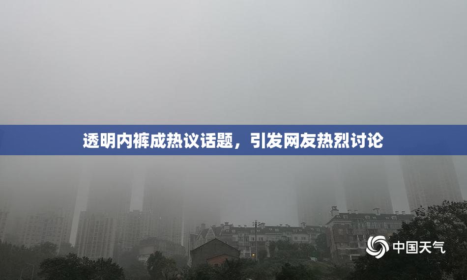 透明内裤成热议话题，引发网友热烈讨论