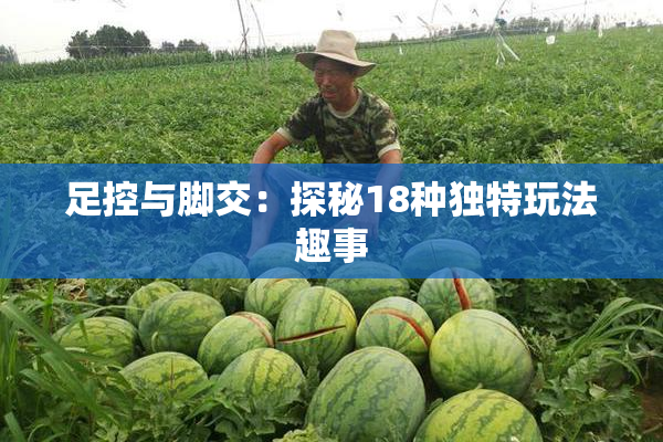足控与脚交：探秘18种独特玩法趣事