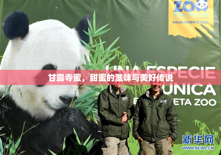甘露寺蜜，甜蜜的滋味与美好传说