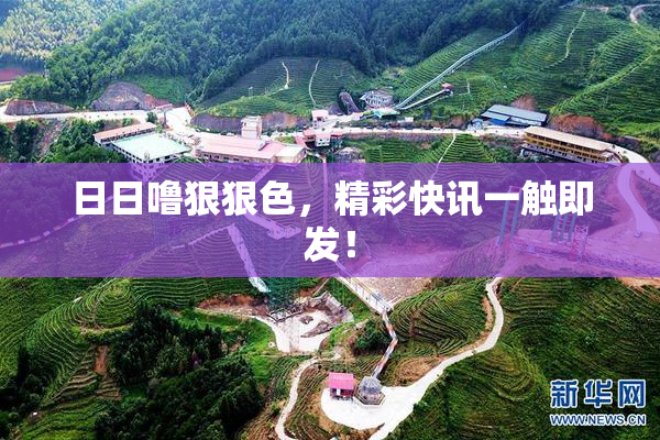 日日噜狠狠色，精彩快讯一触即发！