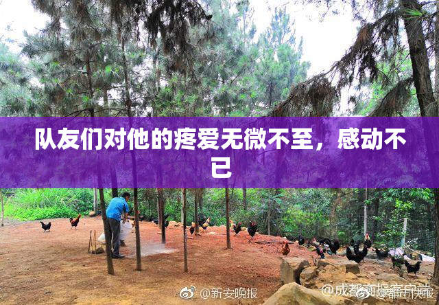 队友们对他的疼爱无微不至，感动不已