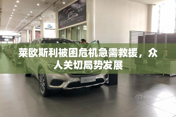 莱欧斯利被困危机急需救援，众人关切局势发展
