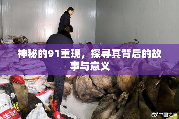 神秘的91重现，探寻其背后的故事与意义