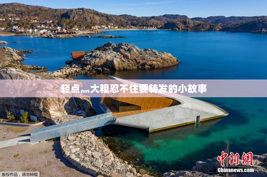 轻点灬大粗忍不住要转发的小故事