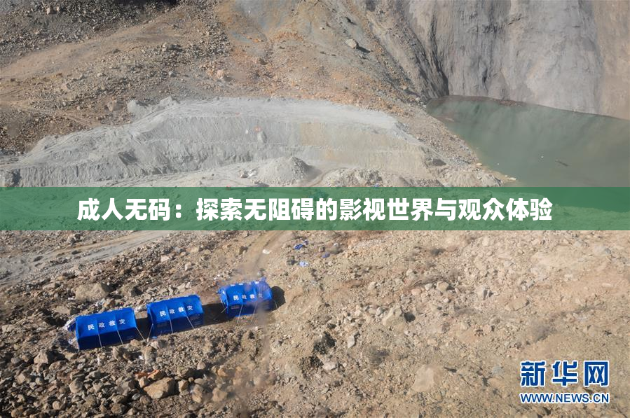 成人无码：探索无阻碍的影视世界与观众体验