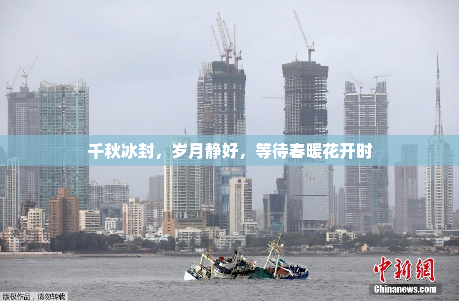 千秋冰封，岁月静好，等待春暖花开时