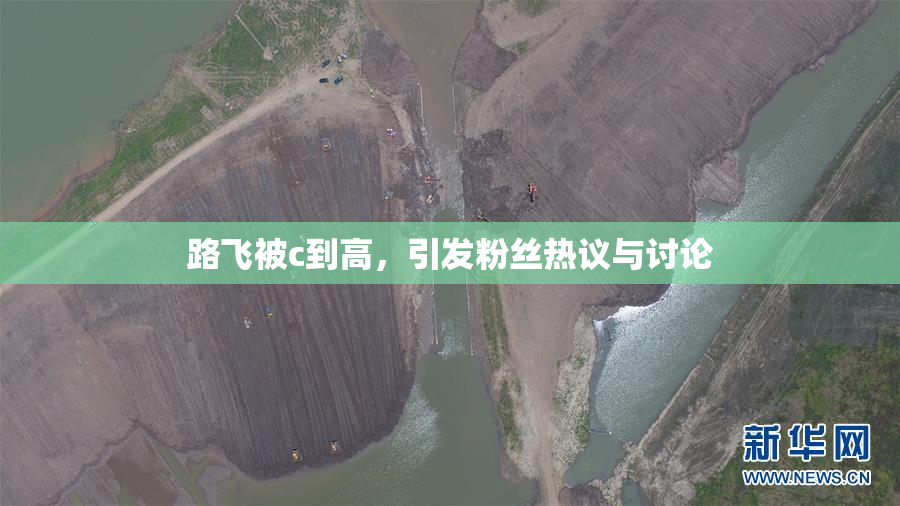 路飞被c到高，引发粉丝热议与讨论