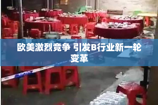 欧美激烈竞争 引发B行业新一轮变革