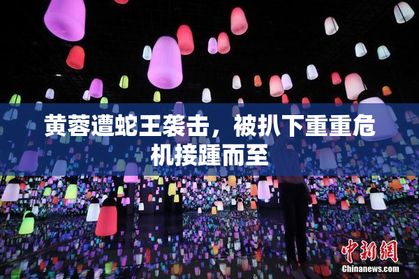 黄蓉遭蛇王袭击，被扒下重重危机接踵而至