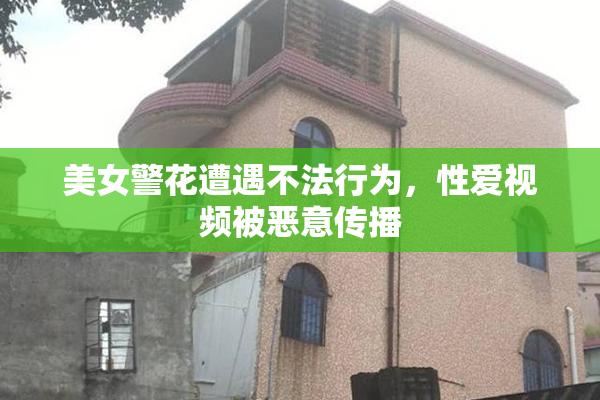 美女警花遭遇不法行为，性爱视频被恶意传播