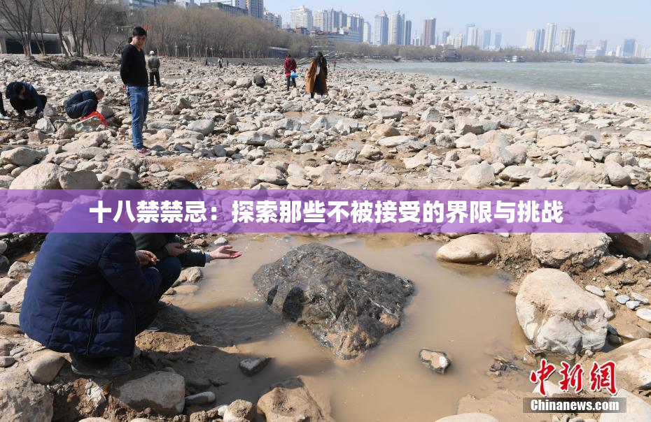 十八禁禁忌：探索那些不被接受的界限与挑战