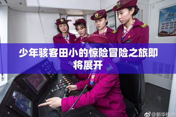 少年骇客田小的惊险冒险之旅即将展开