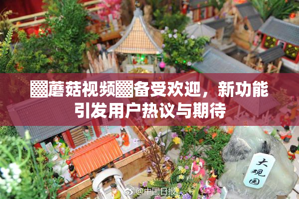 ▓蘑菇视频▓备受欢迎，新功能引发用户热议与期待