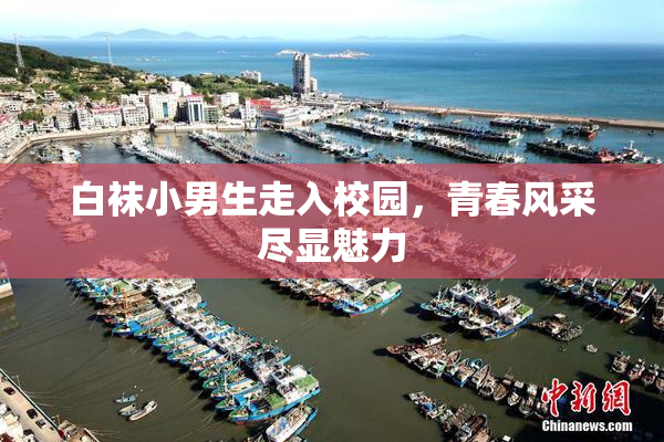 白袜小男生走入校园，青春风采尽显魅力