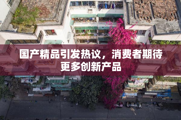 国产精品引发热议，消费者期待更多创新产品