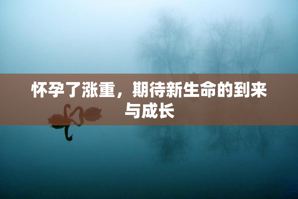 怀孕了涨重，期待新生命的到来与成长