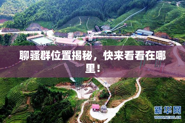 聊骚群位置揭秘，快来看看在哪里！