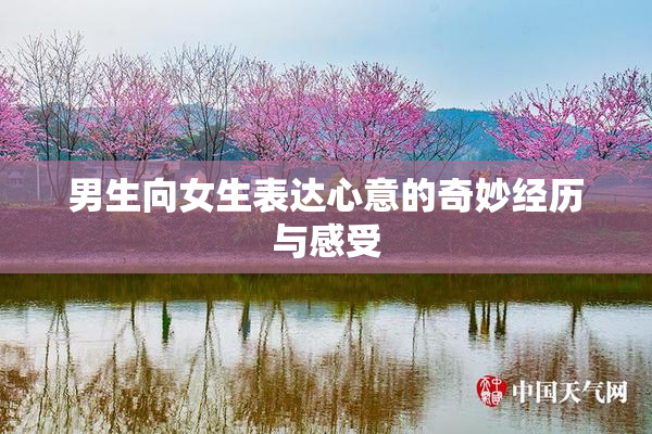 男生向女生表达心意的奇妙经历与感受
