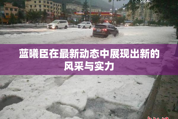 蓝曦臣在最新动态中展现出新的风采与实力