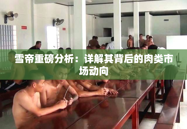 雪帝重磅分析：详解其背后的肉类市场动向