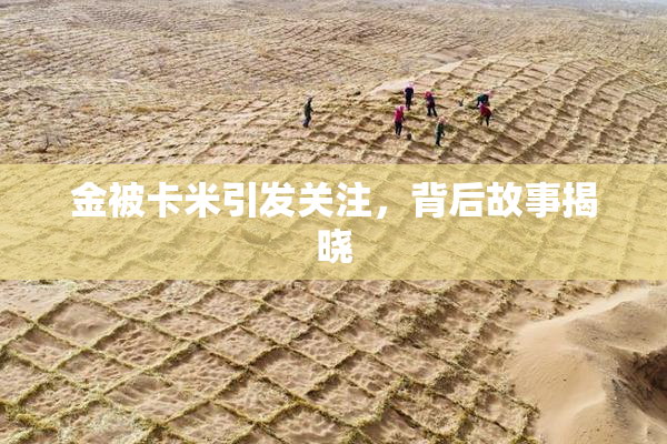 金被卡米引发关注，背后故事揭晓
