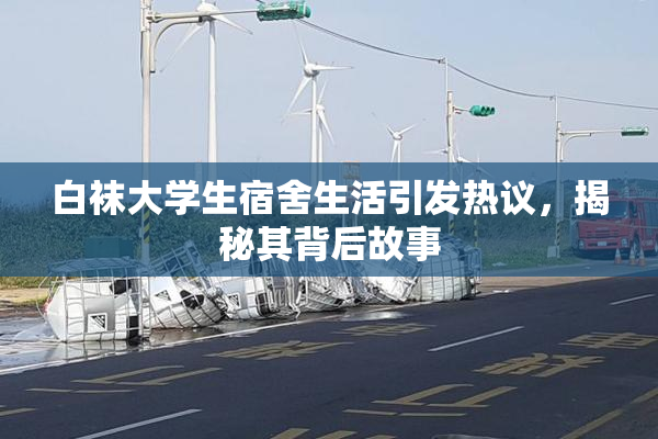 白袜大学生宿舍生活引发热议，揭秘其背后故事