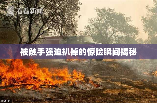 被触手强迫扒掉的惊险瞬间揭秘