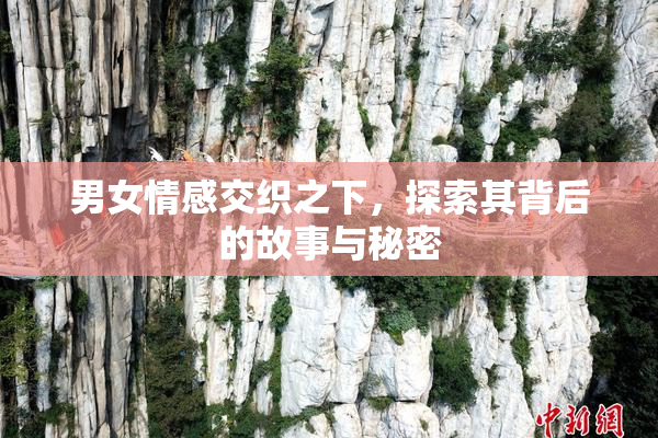 男女情感交织之下，探索其背后的故事与秘密
