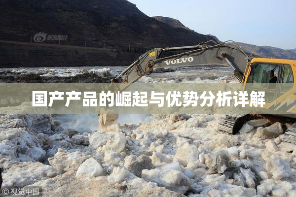 国产产品的崛起与优势分析详解