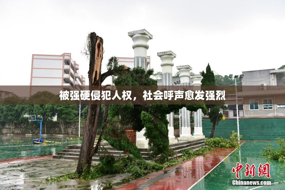 被强硬侵犯人权，社会呼声愈发强烈