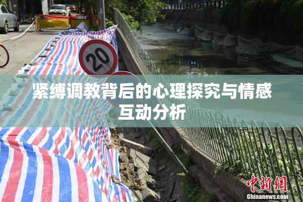 紧缚调教背后的心理探究与情感互动分析