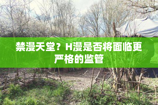 禁漫天堂？H漫是否将面临更严格的监管