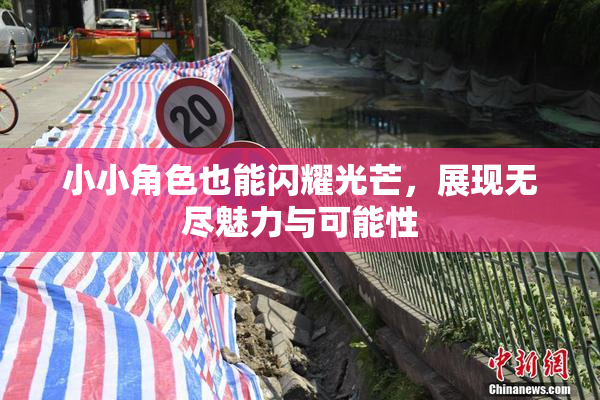 小小角色也能闪耀光芒，展现无尽魅力与可能性
